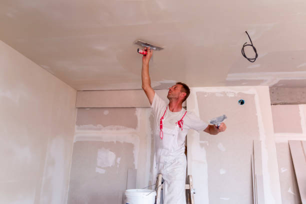 Best Wallpaper Removal and Painting  in Mission Viejo, CA