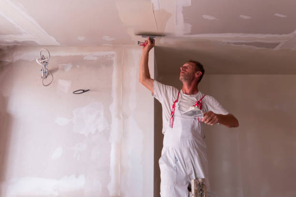 Best Commercial Painting  in Mission Viejo, CA